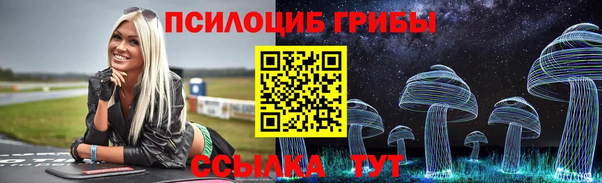 Галлюциногенные грибы прущие грибы Серов